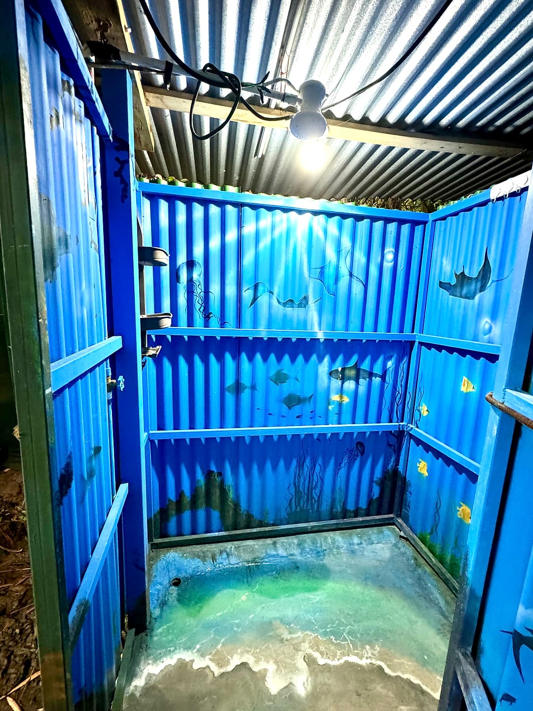 Shared shower: blue corrugated walls painted with fish swimming over a sea-green painted floor