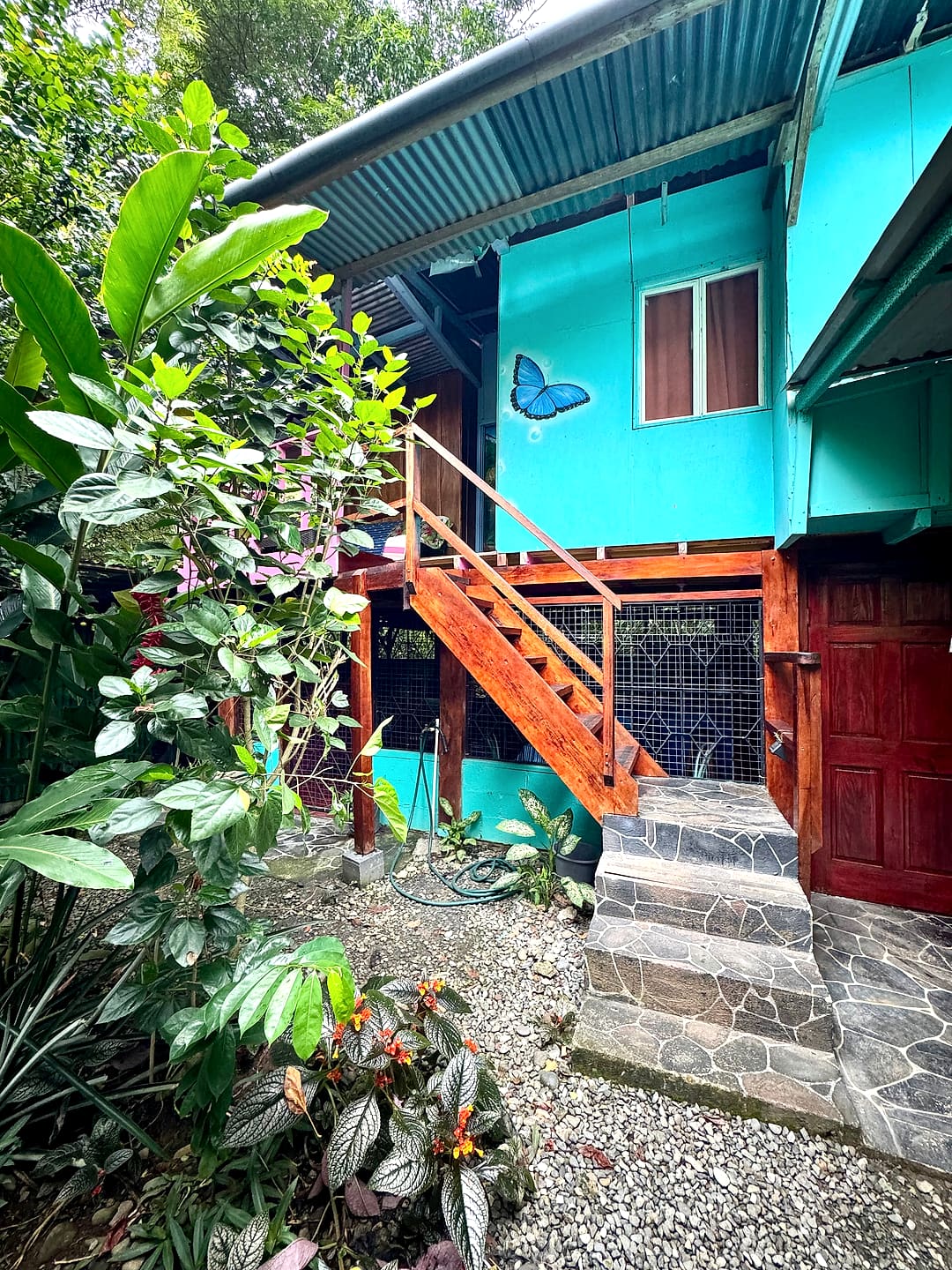 Garden path to the turquoise house, with the painted butterfly and the orange staircase behind tropical leaves