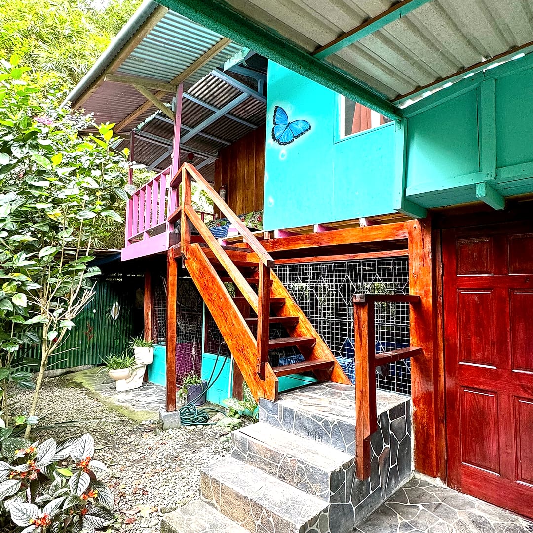 The turquoise house with a painted blue morpho butterfly, an orange wooden staircase and a pink balcony rail, wrapped in garden plants