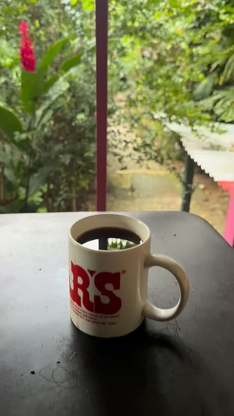 A mug of black coffee on the porch table, a red ginger flower and the garden behind a pink post