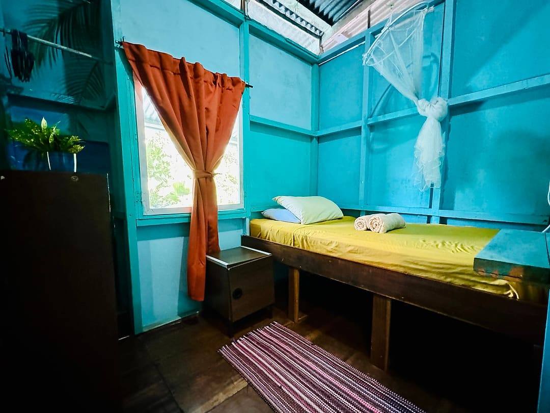 Garden Room 2: single bed with a yellow cover in a turquoise room with an orange curtain