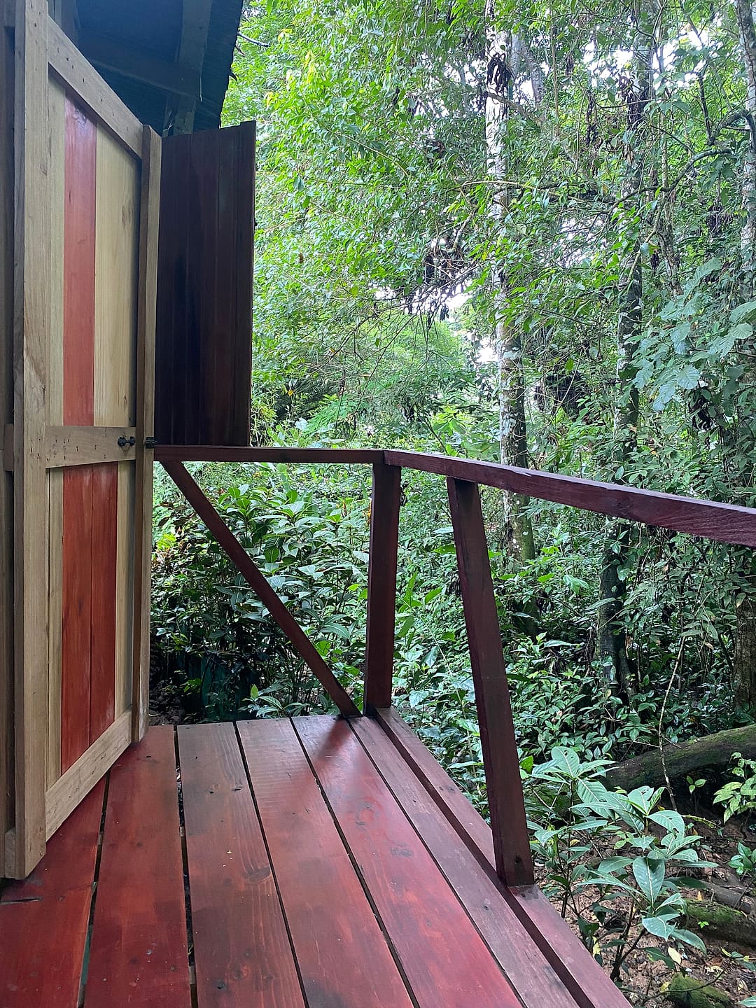 Jungle Balcony Room 4: the wooden balcony deck reaching into dense jungle